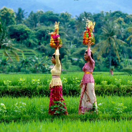 bali - bali_rismark_kvinde_01