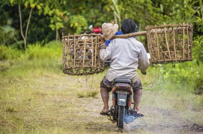 bali - bali_motorcykel_01