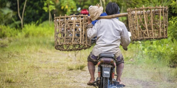 bali - bali_motorcykel_01