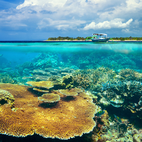 bali - gili_meno_koraller_01