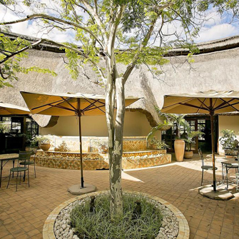 sydafrika - zimbabwe - victoria falls - ilala lodge_08