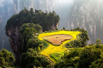 Zhangjiajie Risterrasse