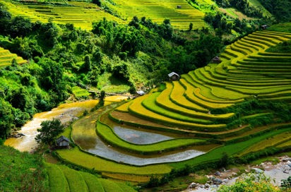 bali - ubud_rismark_27