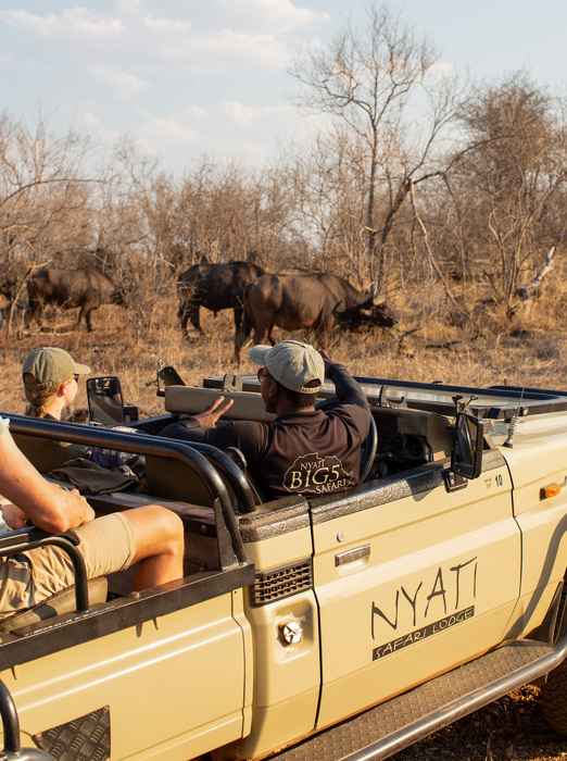 Sydafrika 2025 Mikkel 0186 Nyati Jeep og Bøfler