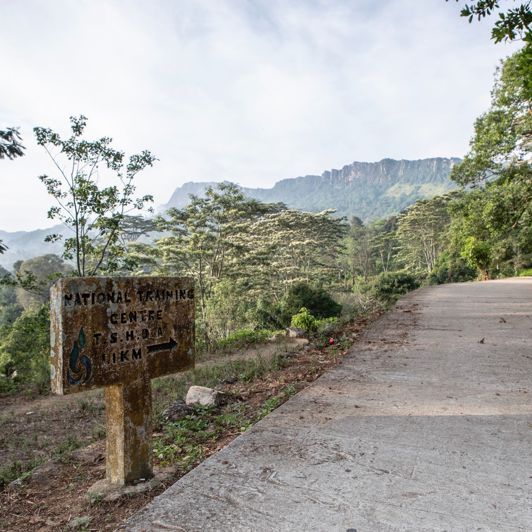 Pekoe Trail Stage 1 Højland Vandring 2520042849