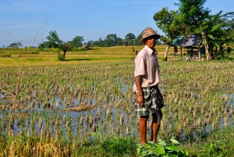 bali - ubud_riamrk_farmer_08