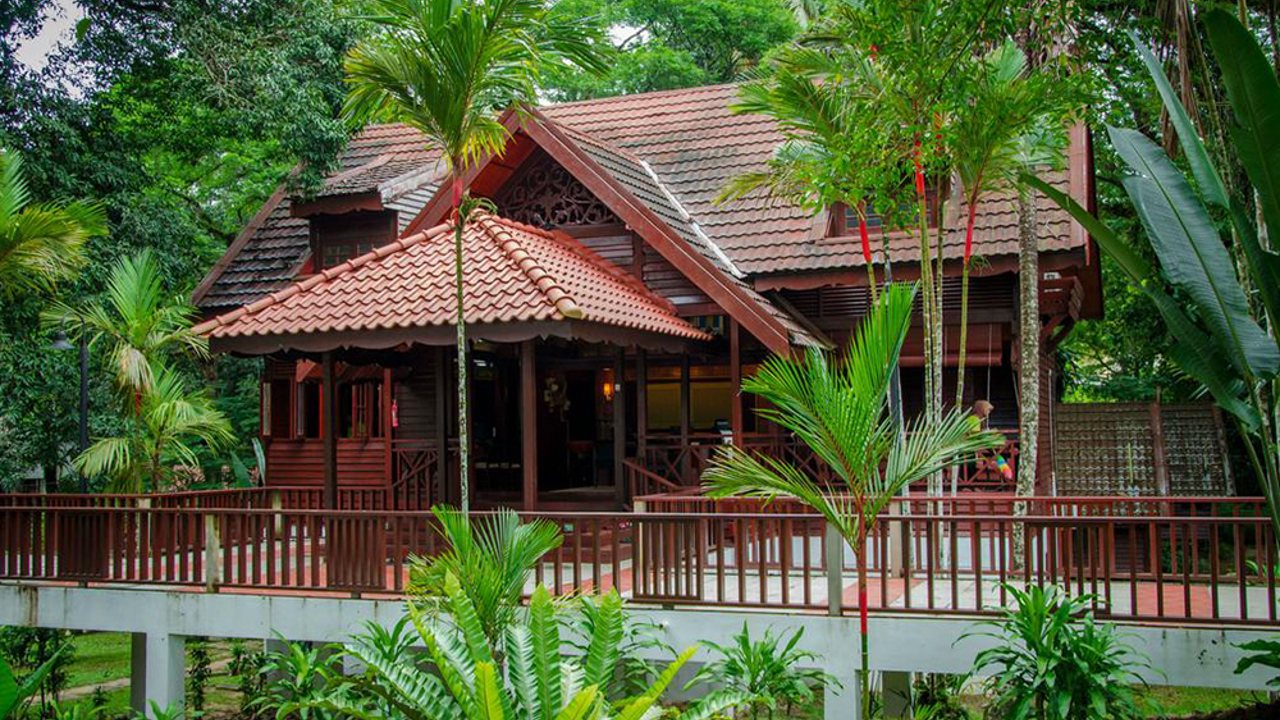 malaysia - Mutiara taman negara_02