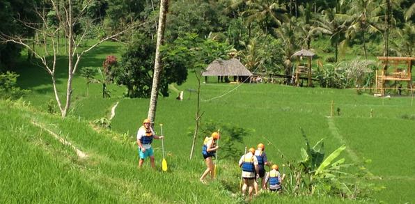 bali - payngan rismark