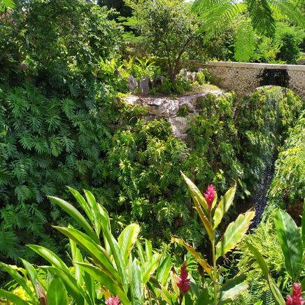 Merida Mucuyche Amazing Hacienda 1654060420