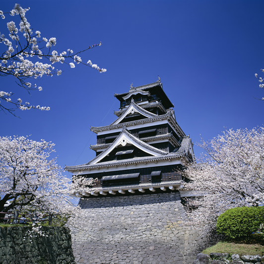 Kyushu Borg01