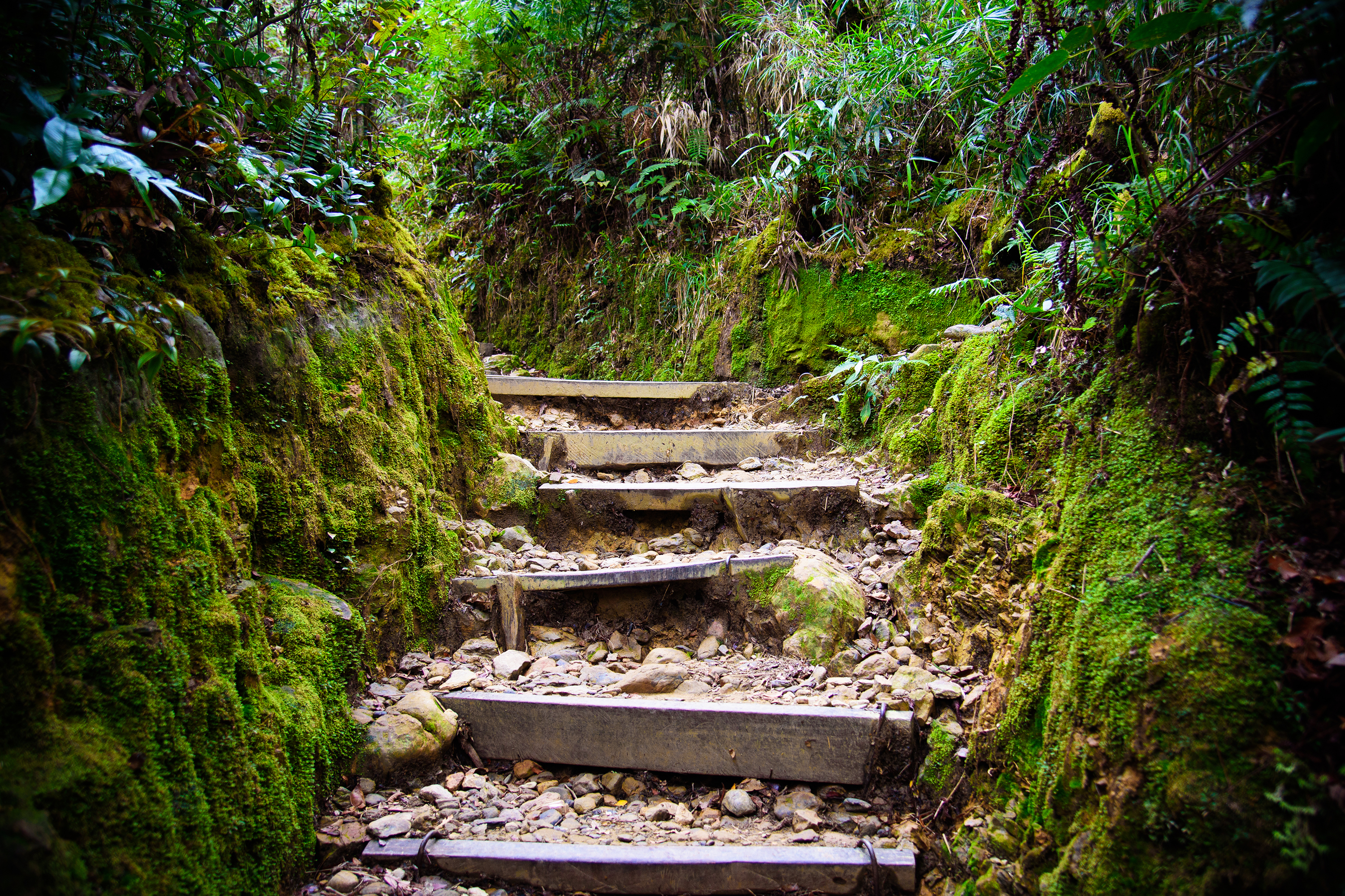 Vi besøger også Kinabalu National Park.
