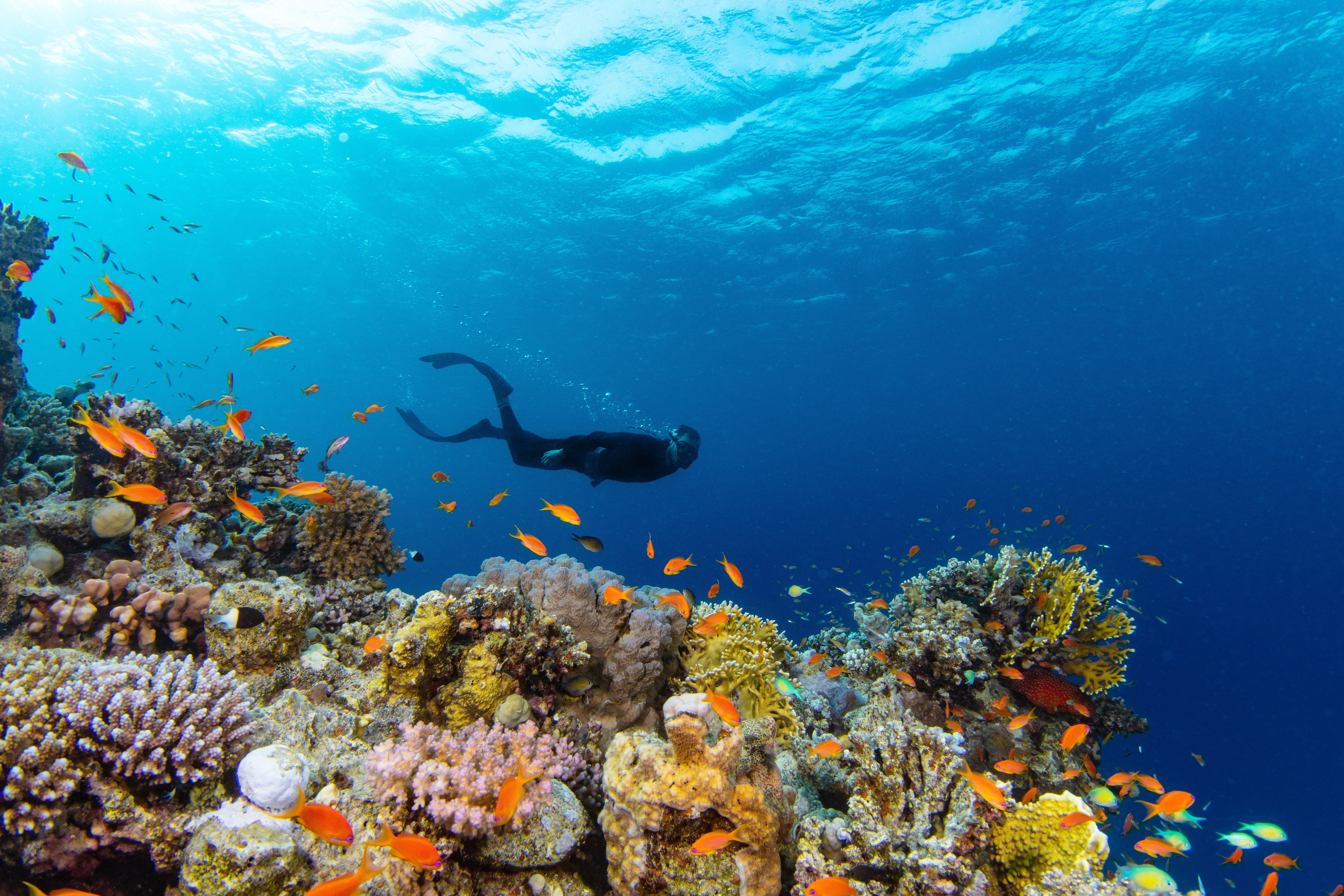 Snorkling