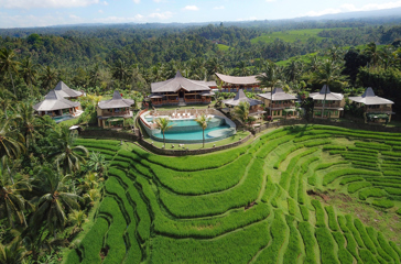 Pool Rice Field From South 1