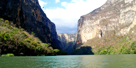 mexico - sumidero canyon_aligator_03