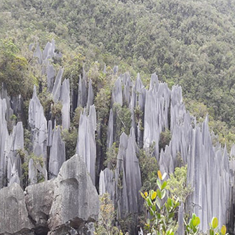 Borneo Park Hq Pennacles 01