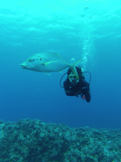 Påskeøen Dykning 01