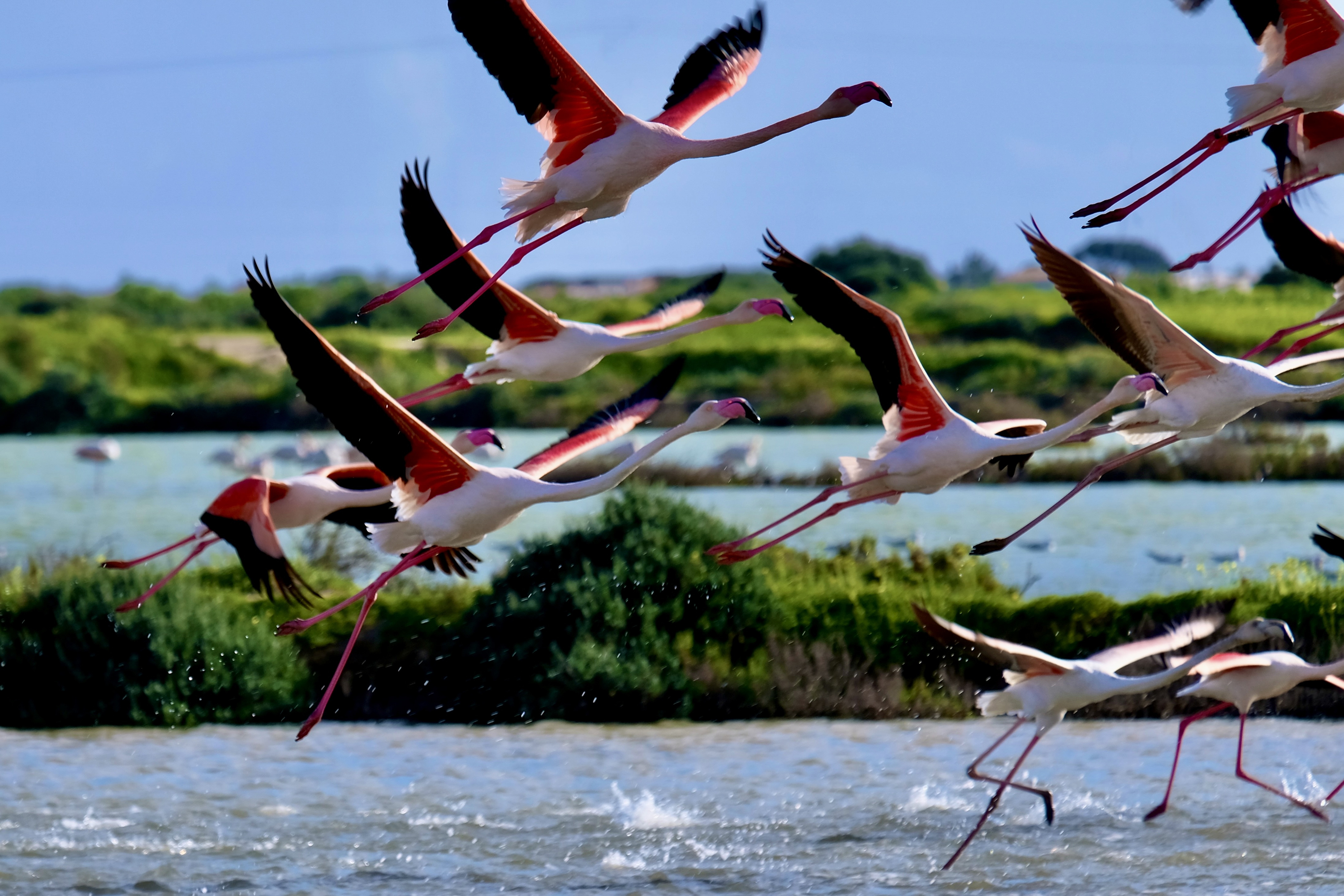 Algarve Ria Formosa 04 Gettyimages 2033237981