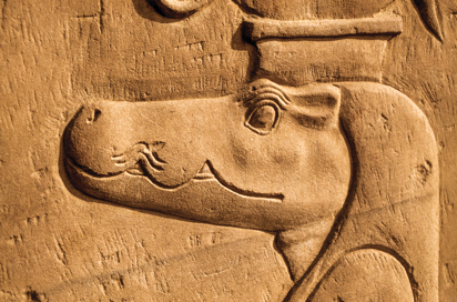 Kom Ombo Krokodille Gud Gi 1232569205