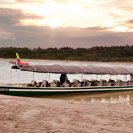 Manatee Udflugt Amazonas