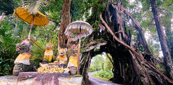 bali - pekutatan_banyantrae_01