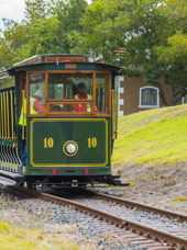 sydafrika - stellenbosch_vinmark_11