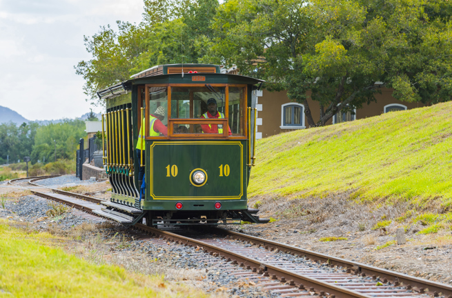 sydafrika - stellenbosch_vinmark_11