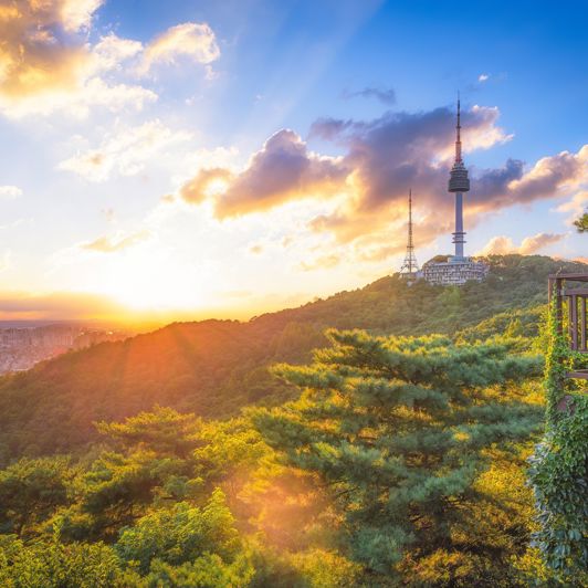 Seoul N Seoul Tower 2496905125