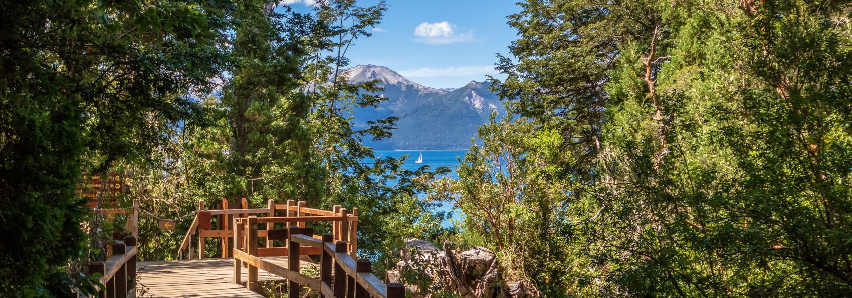 Bosque De Arrayanes01