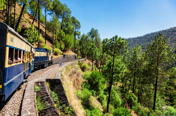 indien - indien_tog_natur_01