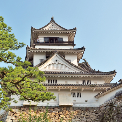 japan - kochi_borg_01