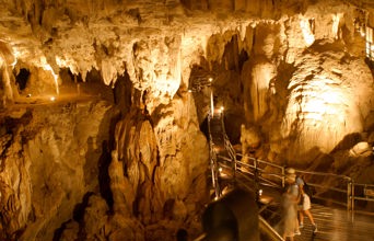 Mulu National Park er bl.a. kendt for sine exceptionelle grotter...