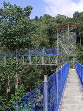 FRIM Skywalk Kuala Lumpur