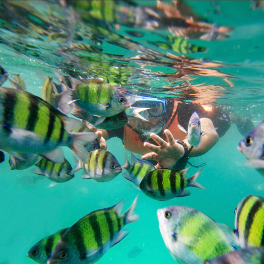malaysia - langkawi_snorkling_01