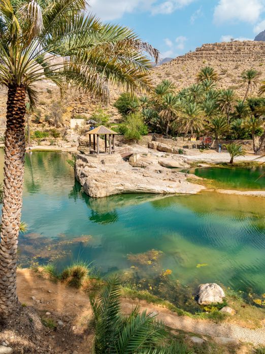 Wadi Bani Khalid Oasis 2395480587