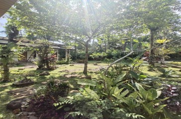 Java Ijen Hadi Homestay 04