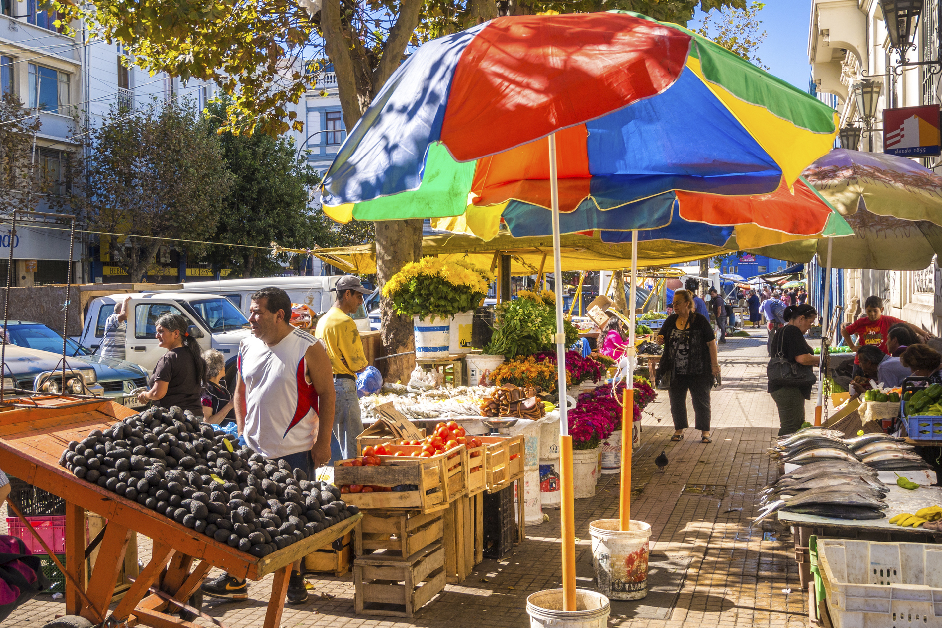 chile - valparaiso_by_chile_05