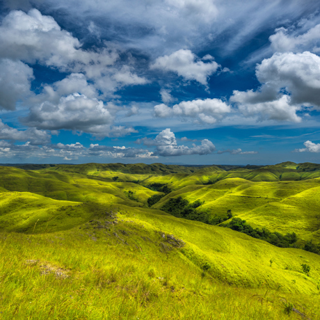 bali - sumba_bakker_03