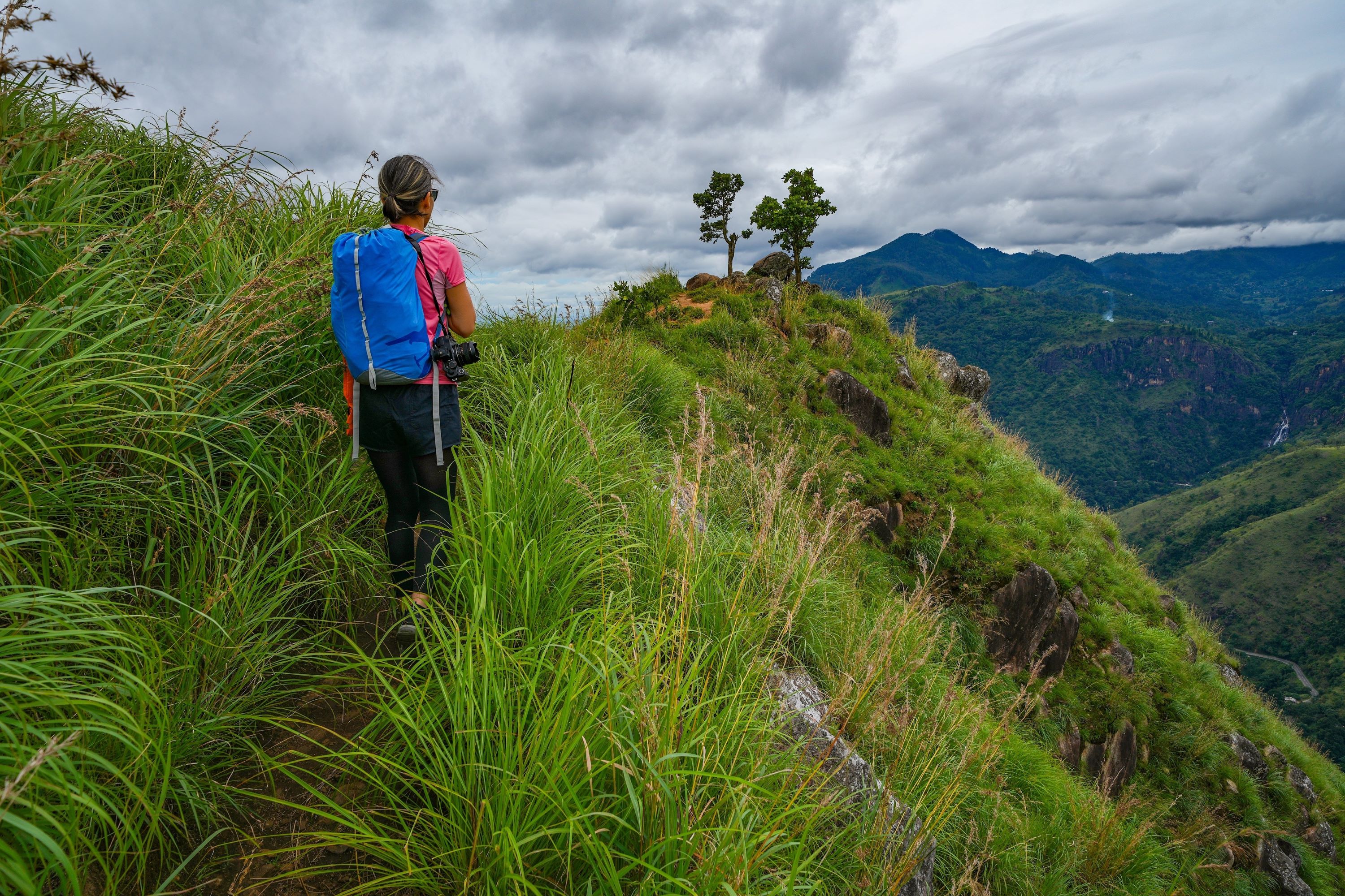 Pekoe Trail Little Adams Peak Vandring 2642206767