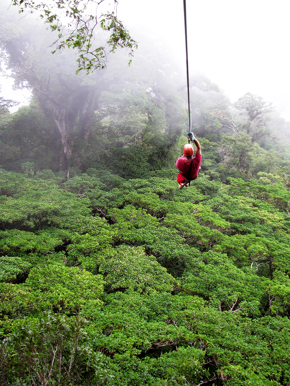costa rica - monteverde_regnskov_zipline_01_hf
