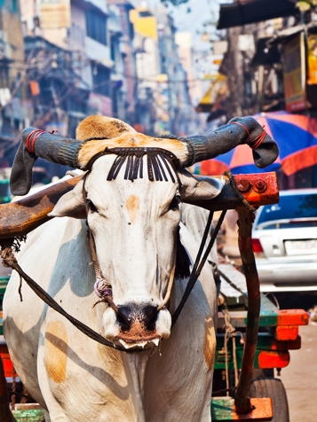 Indien - old delhi_by_01