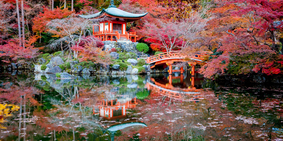 japan - kyoto_tempel_ahorntrae_01