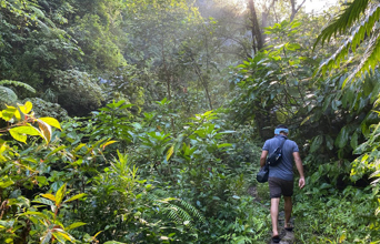 bali - Vandfald_Sujati_1