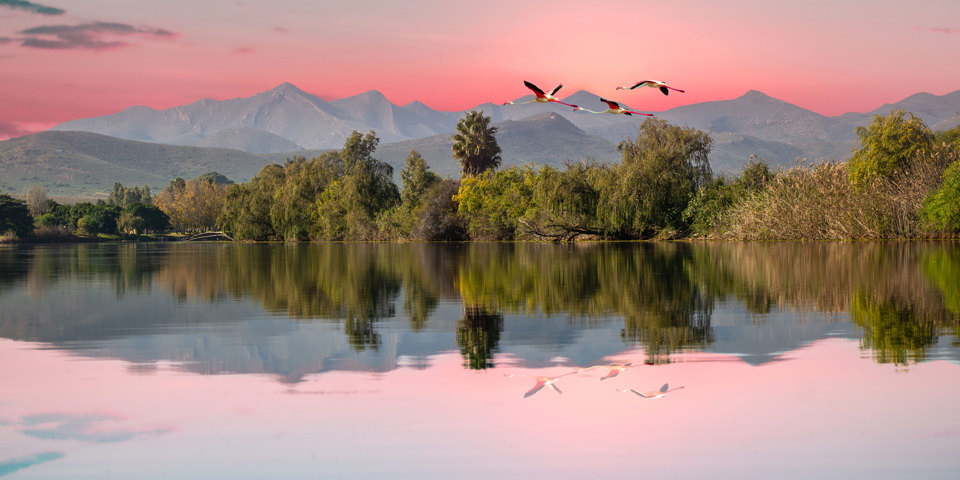 Robertson Breede Flod