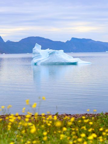 Igaliku Isbjerg 2508524303