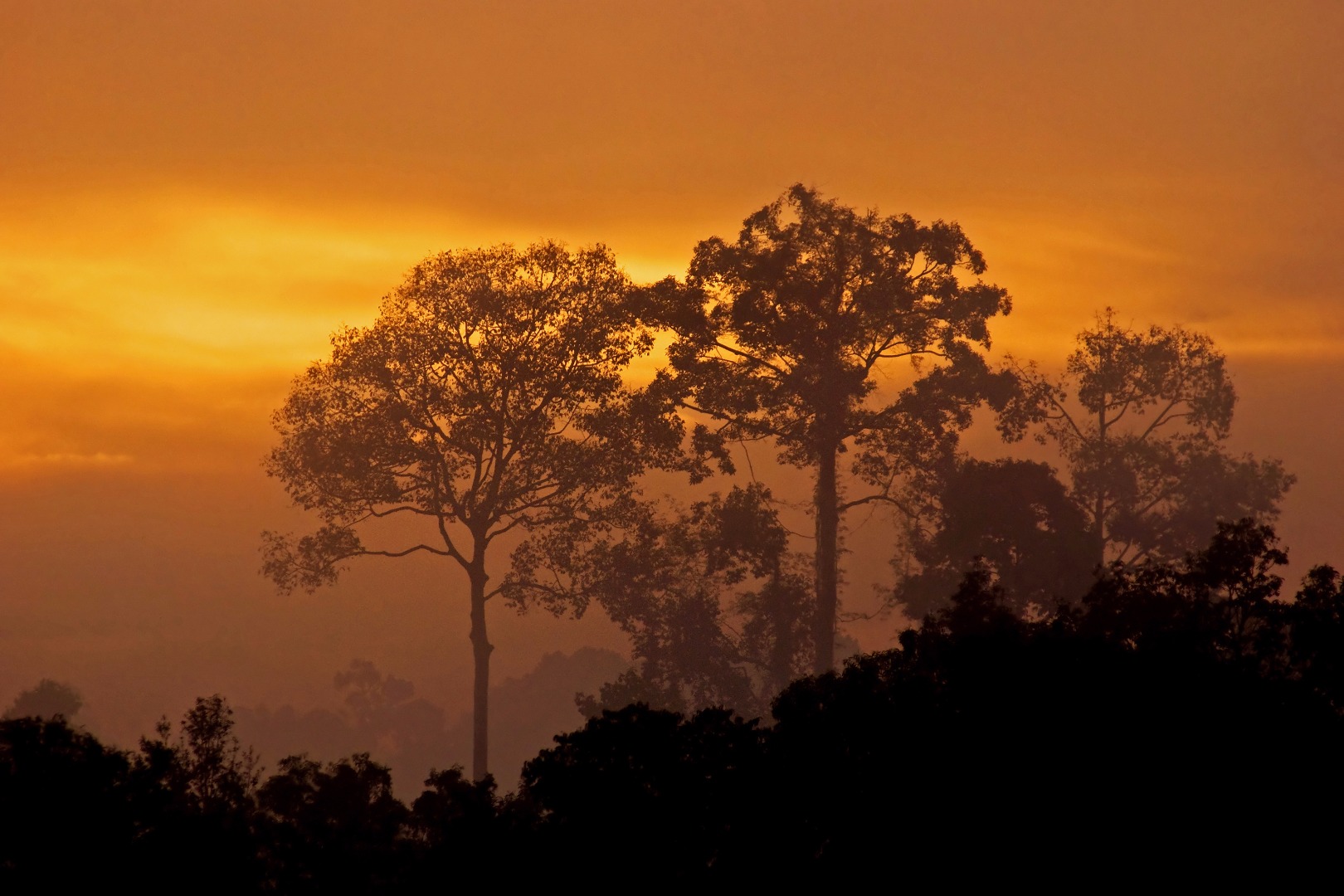 thailand - khao yai national park_solnedgang