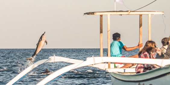 bali - lovina_defin_06