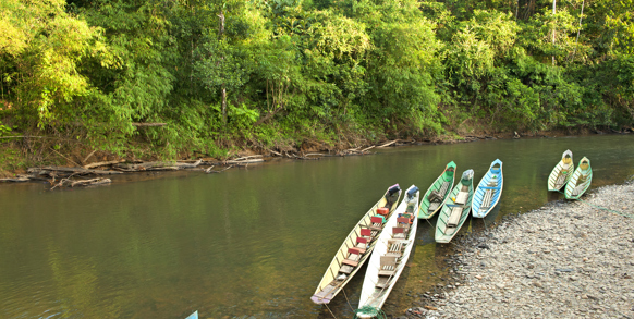 I skal også på en sejltur op ad floden i longtail-båd til landsbyen Nanga Sumpa...