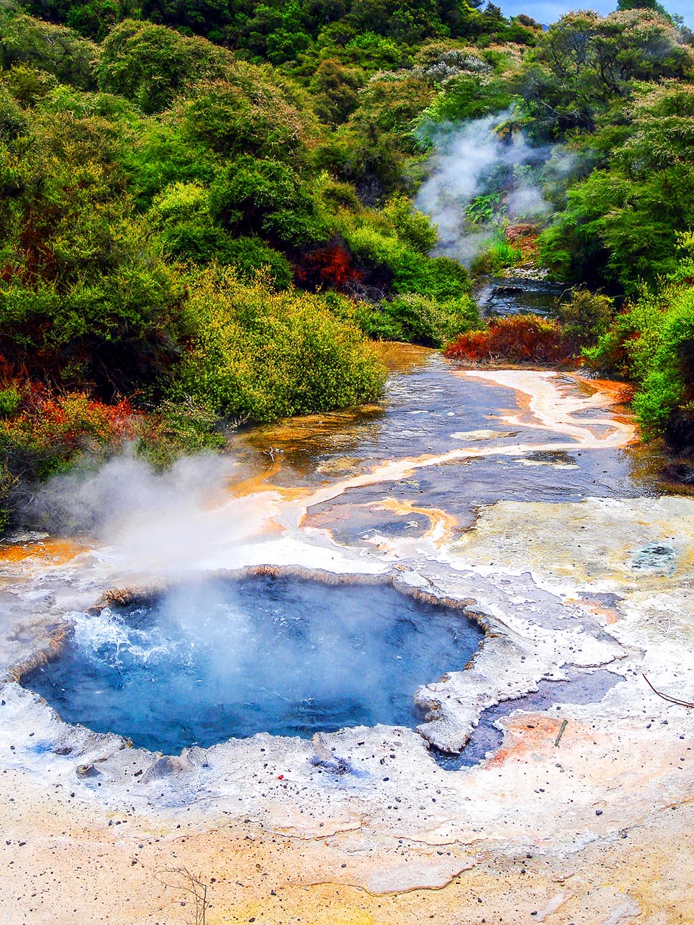 new zealand - rotorua_gejser_01_HF