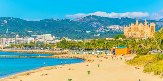 Palma Strand Med Katedral 1129604765