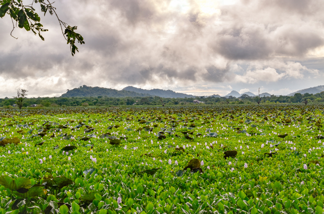 Gal Oya Valley 1246734001